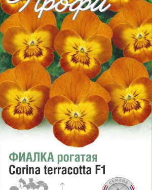Фиалка рогатая Corina terracotta F1 10 шт (20 упаковок)