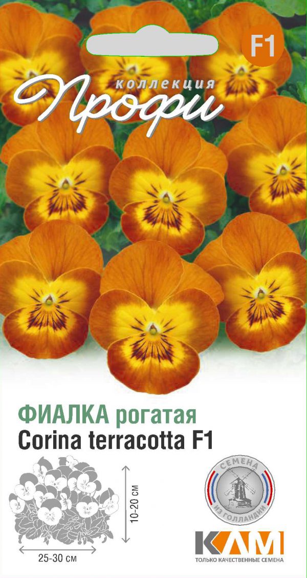 Фиалка рогатая Corina terracotta F1 10 шт (20 упаковок)