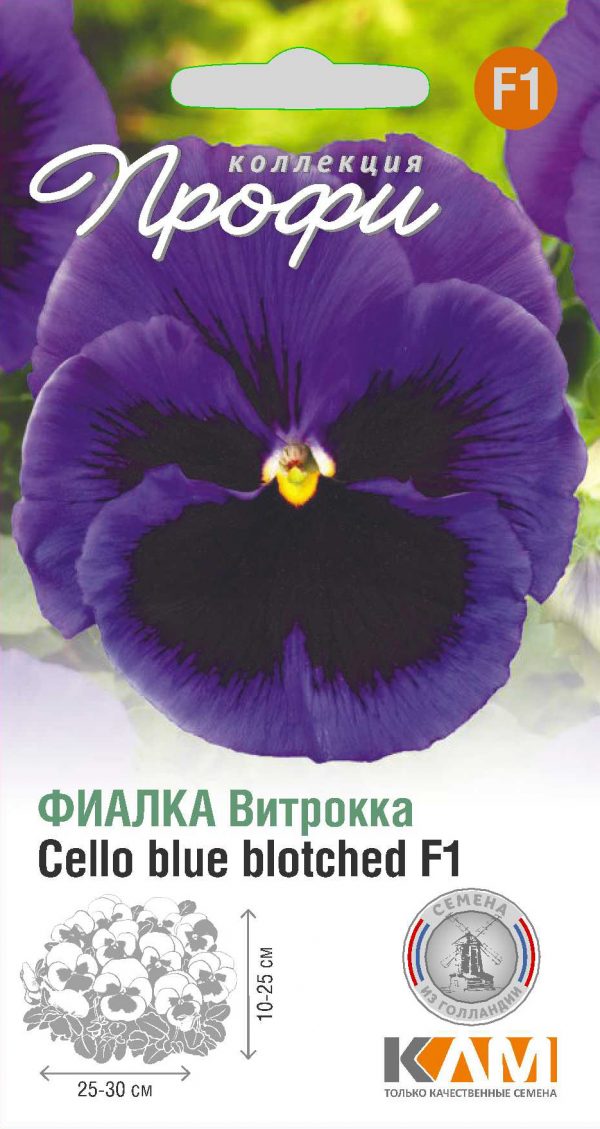 Фиалка Витрокка Cello blue blotched F1 10 шт (20 упаковок)