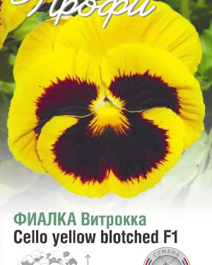 Фиалка Витрокка Cello yellow blotched F1 10 шт (20 упаковок)