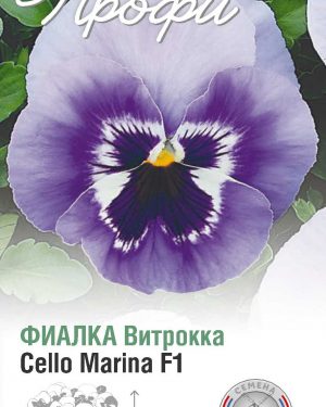 Фиалка Витрокка Cello marina F1 10 шт (20 упаковок)