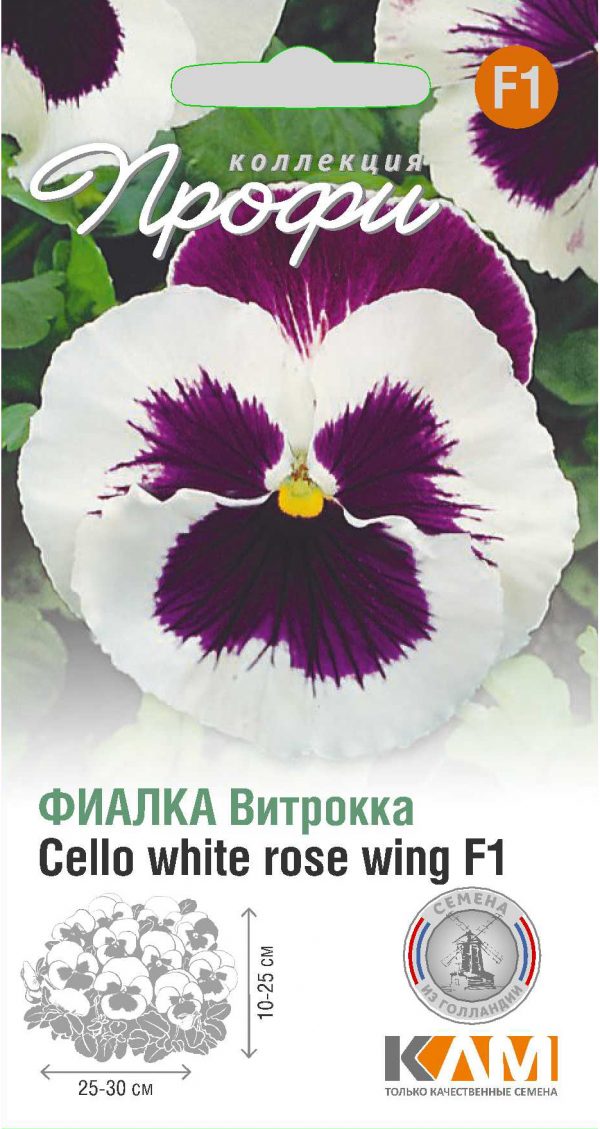Фиалка Витрокка Cello white rose wing F1 10 шт (20 упаковок)