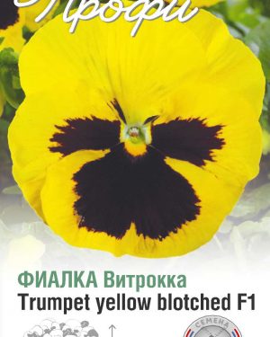Фиалка Витрокка Trumpet yellow blotched F1 10 шт (20 упаковок)
