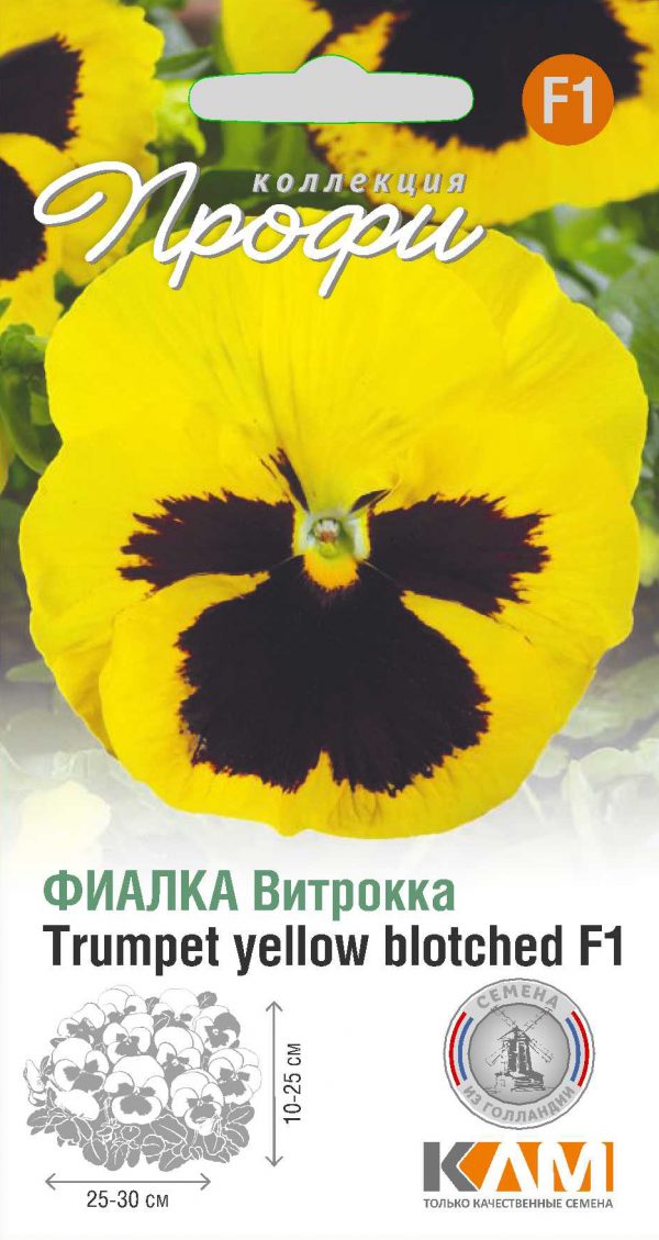Фиалка Витрокка Trumpet yellow blotched F1 10 шт (20 упаковок)