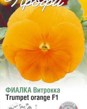 Фиалка Витрокка Trumpet orange F1 10 шт (20 упаковок)