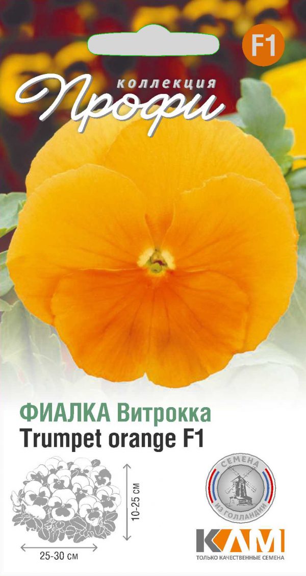 Фиалка Витрокка Trumpet orange F1 10 шт (20 упаковок)