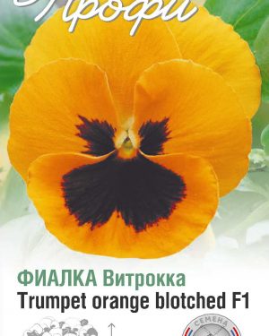 Фиалка Витрокка Trumpet orange blotched F1 10 шт (20 упаковок)