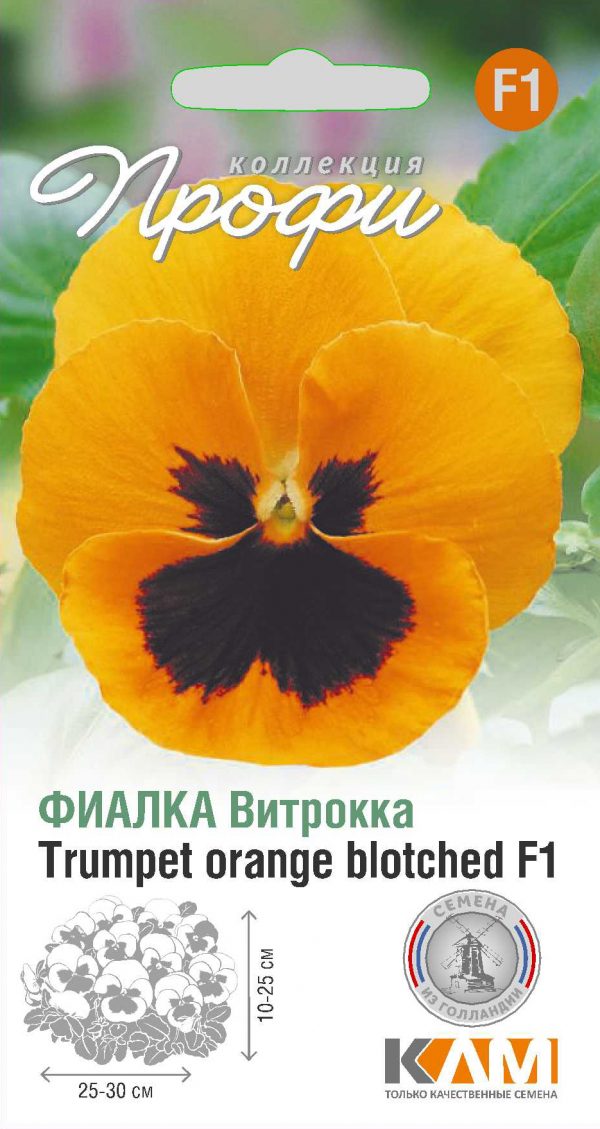 Фиалка Витрокка Trumpet orange blotched F1 10 шт (20 упаковок)
