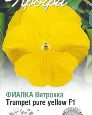 Фиалка Витрокка Trumpet pure yellow F1 10 шт (20 упаковок)