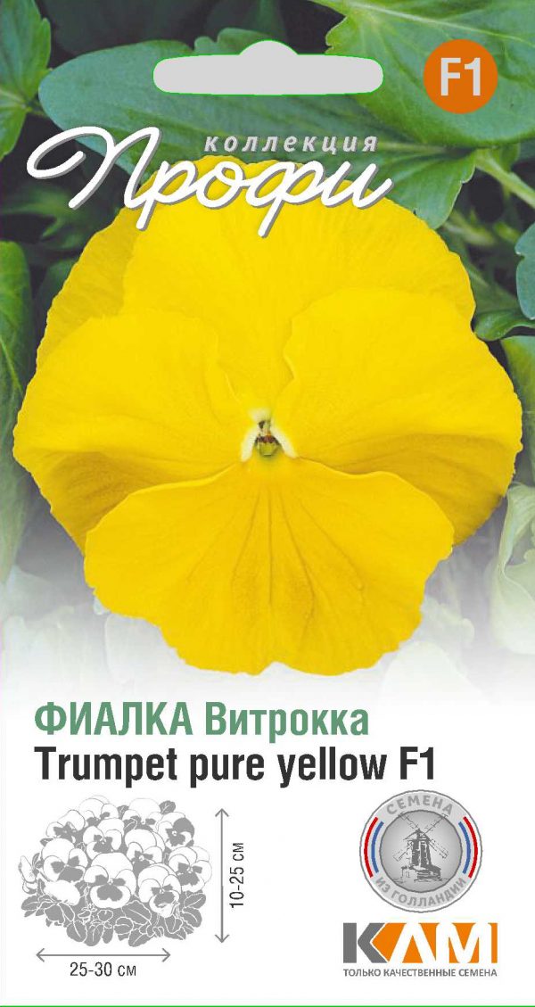 Фиалка Витрокка Trumpet pure yellow F1 10 шт (20 упаковок)
