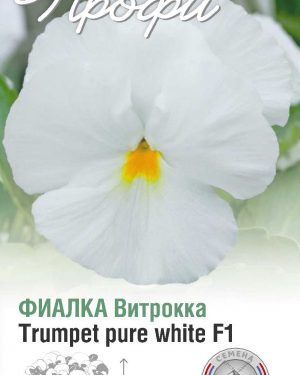 Фиалка Витрокка Trumpet pure white F1 10 шт (20 упаковок)