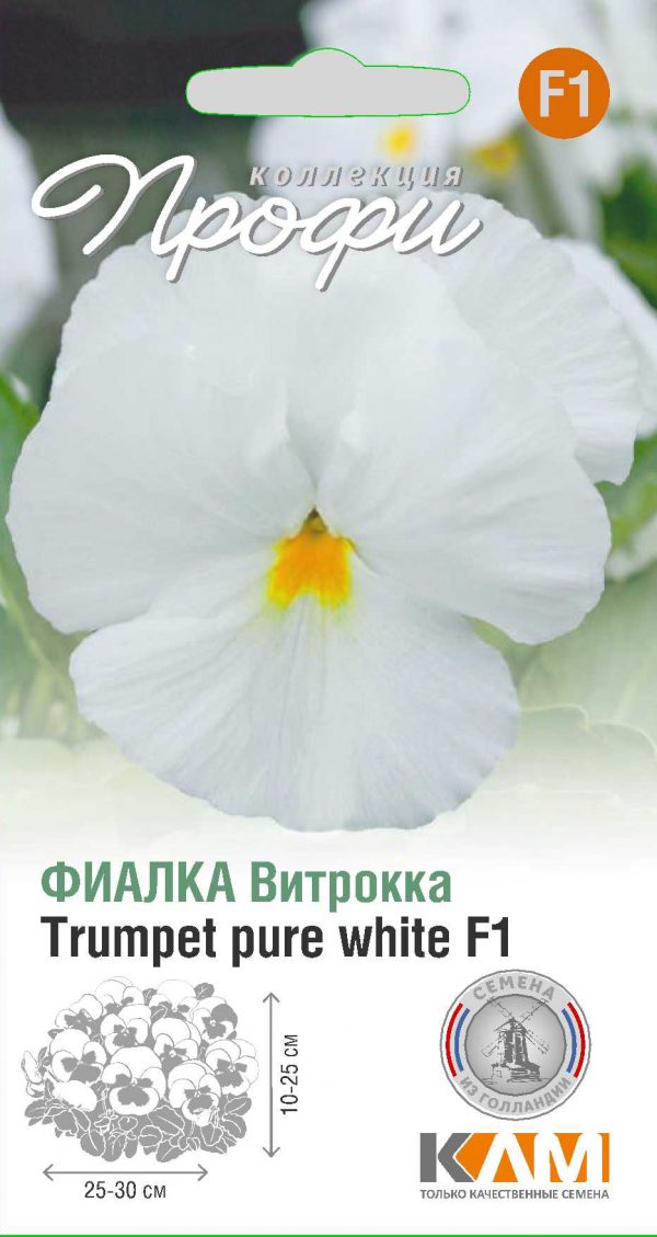 Фиалка Витрокка Trumpet pure white F1 10 шт (20 упаковок)