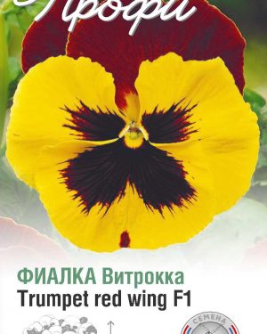 Фиалка Витрокка Trumpet red wing F1 10 шт (20 упаковок)