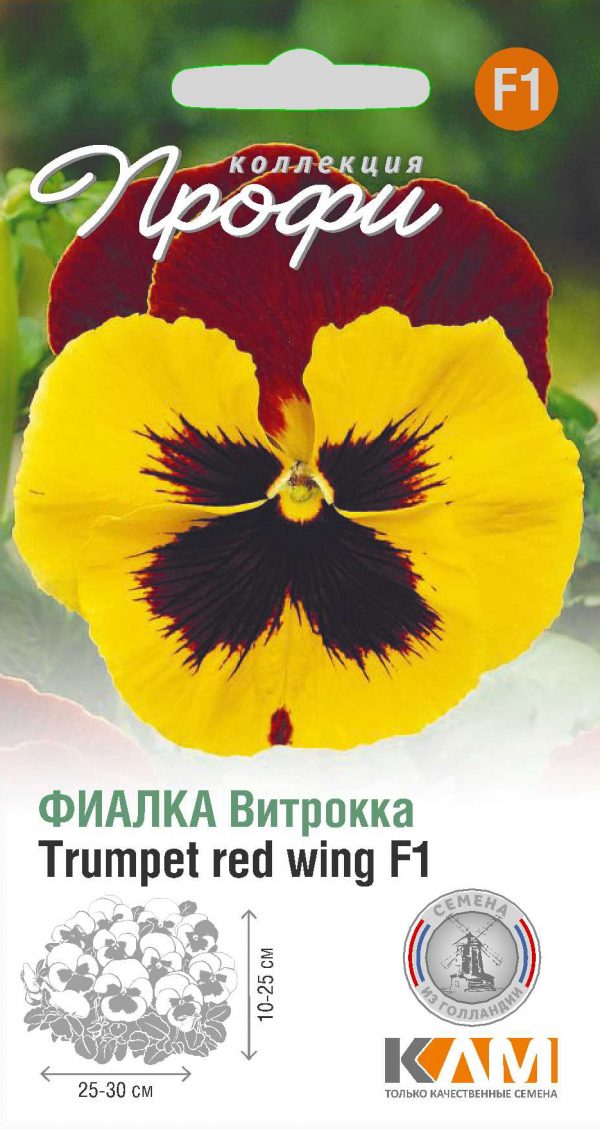 Фиалка Витрокка Trumpet red wing F1 10 шт (20 упаковок)