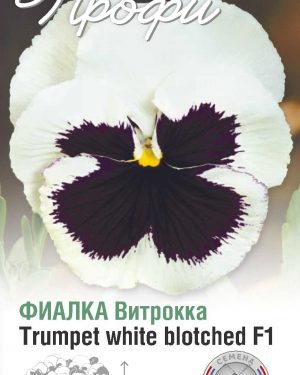Фиалка Витрокка Trumpet white blotched F1 10 шт (20 упаковок)