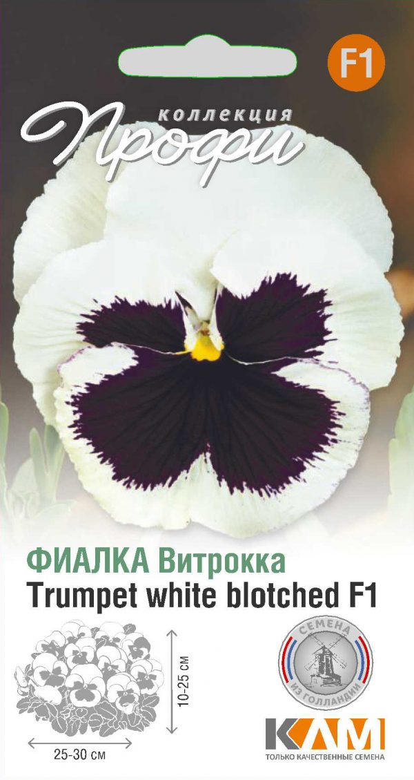 Фиалка Витрокка Trumpet white blotched F1 10 шт (20 упаковок)