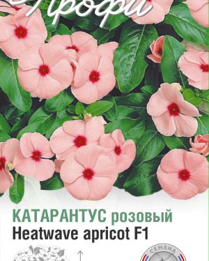 Катарантус розовый Heatwave apricot F1 10 шт (20 упаковок)