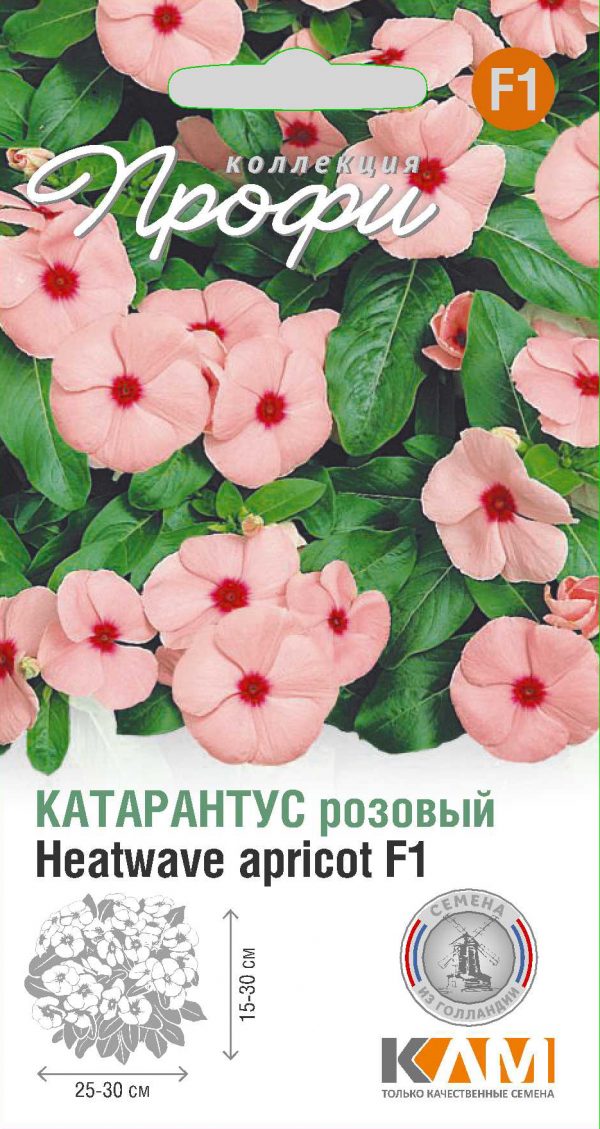 Катарантус розовый Heatwave apricot F1 10 шт (20 упаковок)