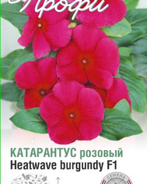 Катарантус розовый Heatwave burgundy F1 10 шт (20 упаковок)