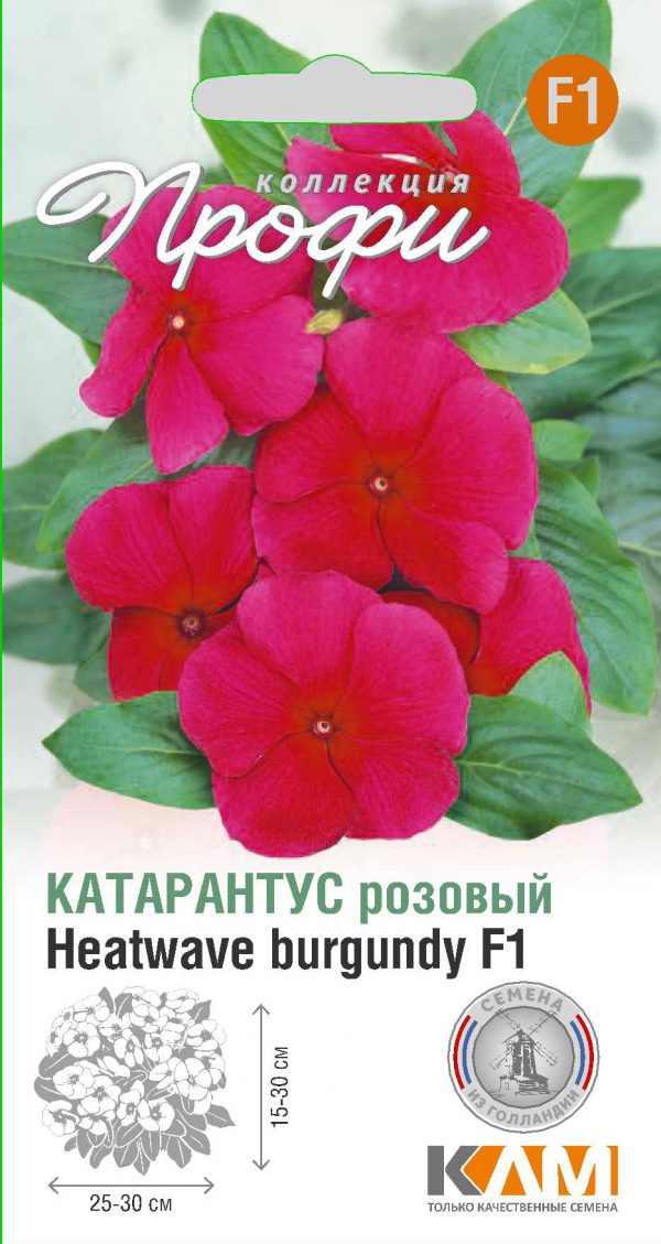 Катарантус розовый Heatwave burgundy F1 10 шт (20 упаковок)