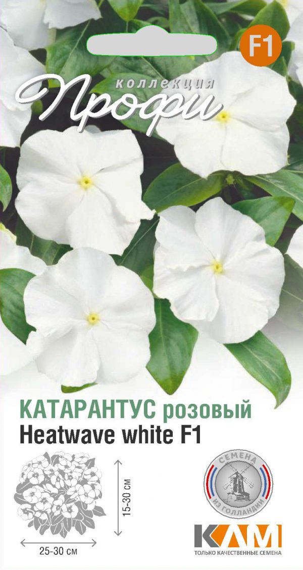 Катарантус розовый Heatwave white F1 10 шт (20 упаковок)