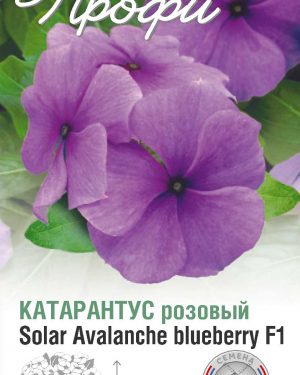 Катарантус розовый Solar Avalanche blueberry F1 10 шт (20 упаковок)