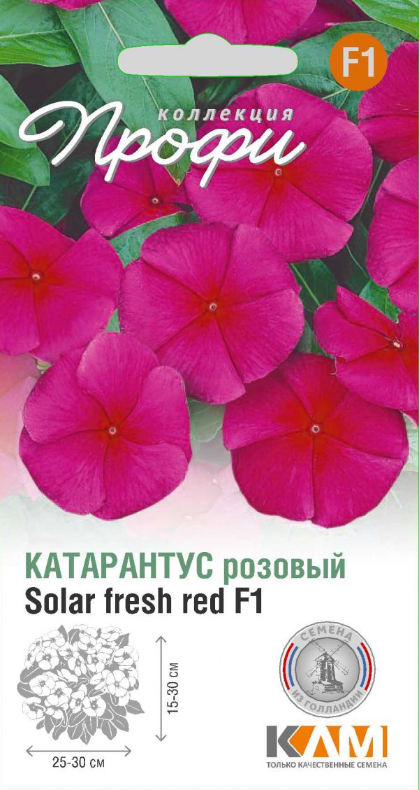 Катарантус розовый Solar fresh red F1 10 шт (20 упаковок)