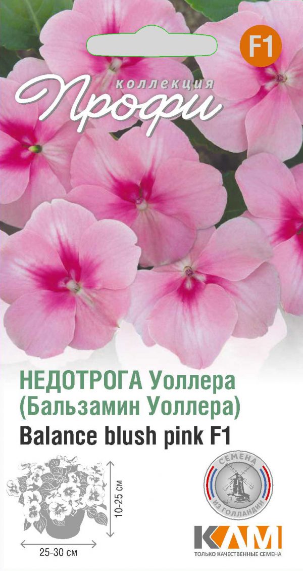 Недотрога Уоллера Balance blush pink F1 10 шт (20 упаковок)