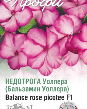 Недотрога Уоллера Balance rose picotee F1 10 шт (20 упаковок)