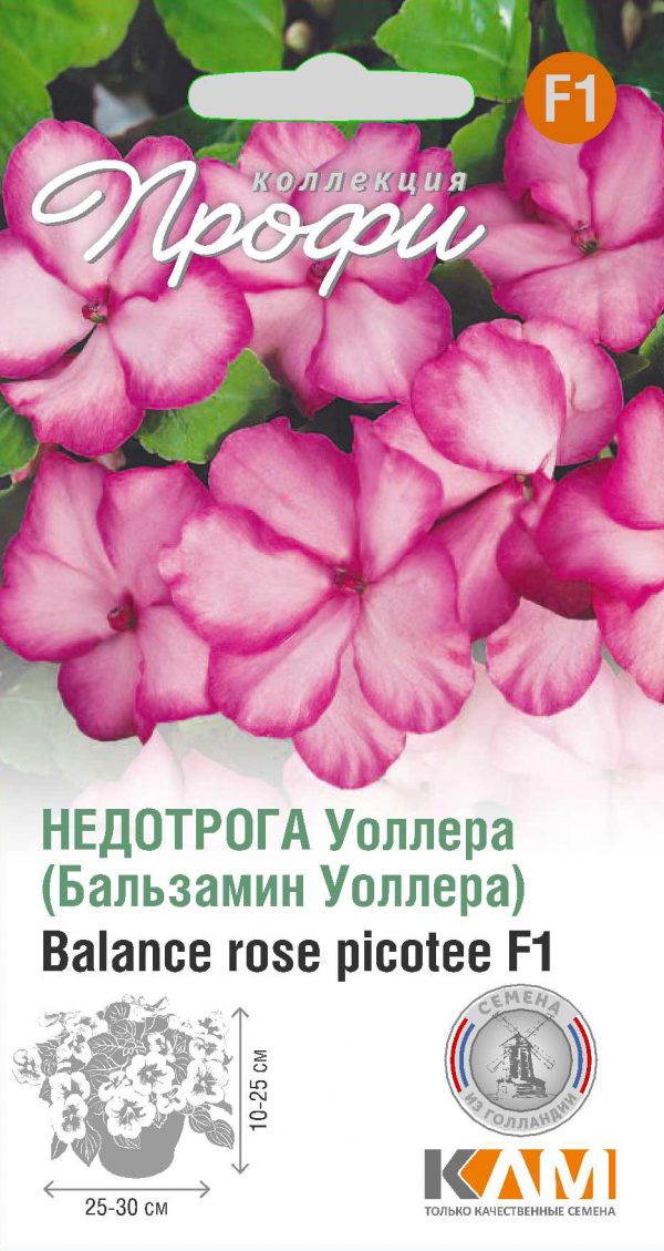 Недотрога Уоллера Balance rose picotee F1 10 шт (20 упаковок)