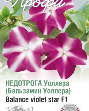 Недотрога Уоллера Balance violet star F1 10 шт (20 упаковок)