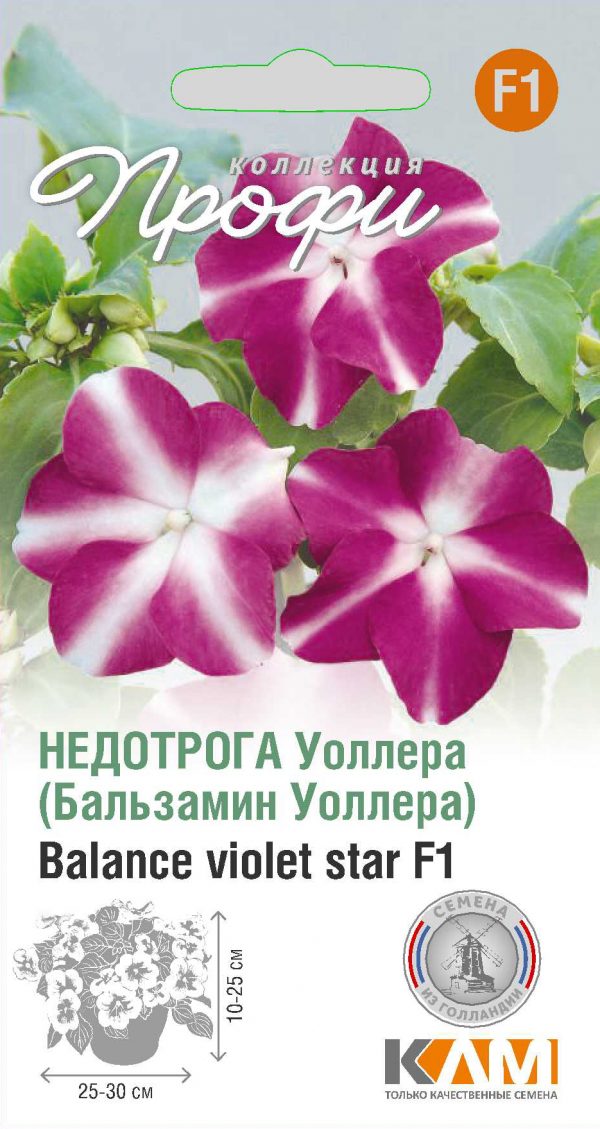 Недотрога Уоллера Balance violet star F1 10 шт (20 упаковок)
