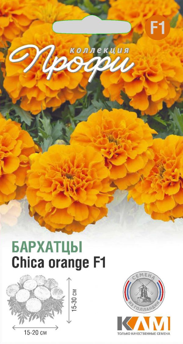 Бархатцы Chica orange F1 10 шт ( 20 упаковок)