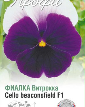 Фиалка Витрокка Cello beaconsfield F1 10 шт (20 упаковок)