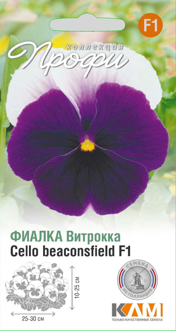 Фиалка Витрокка Cello beaconsfield F1 10 шт (20 упаковок)