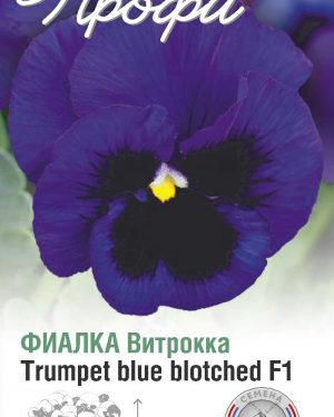 Фиалка Витрокка Trumpet blue blotched F1 10 шт (20 упаковок)