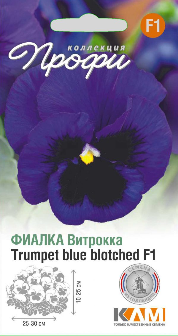 Фиалка Витрокка Trumpet blue blotched F1 10 шт (20 упаковок)