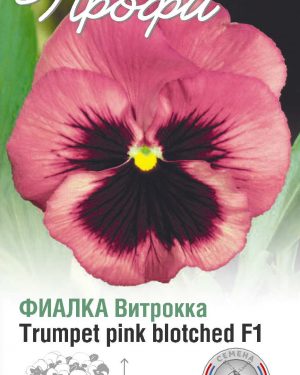 Фиалка Витрокка Trumpet pink blotched F1 10 шт (20 упаковок)