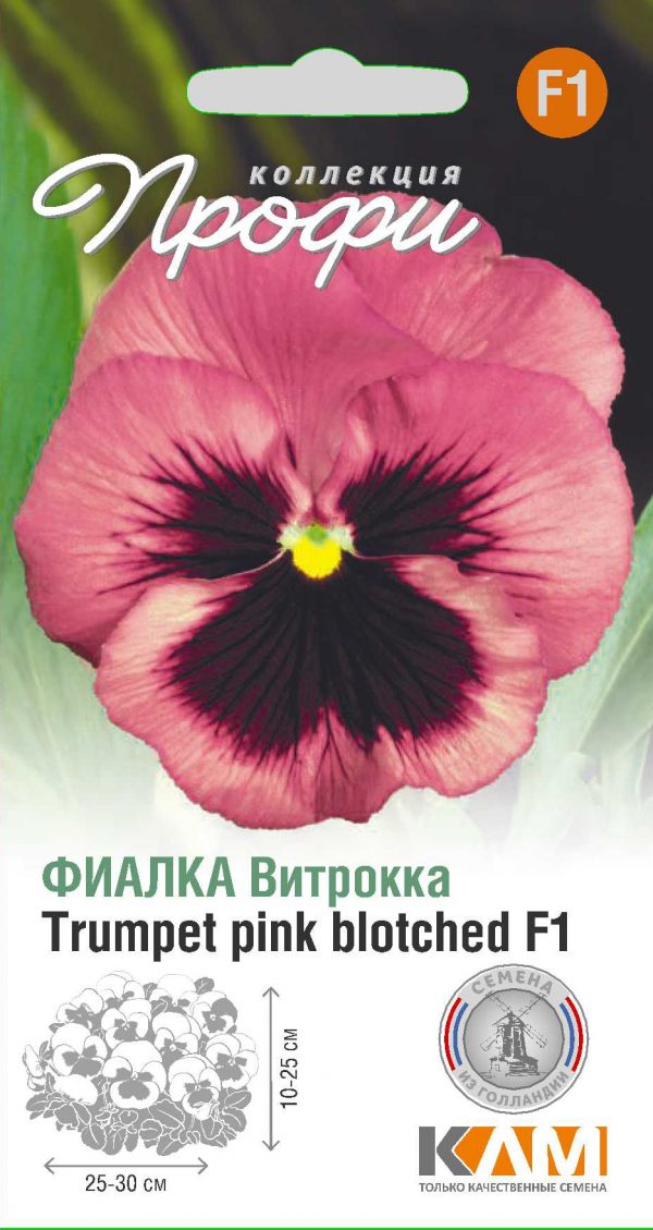 Фиалка Витрокка Trumpet pink blotched F1 10 шт (20 упаковок)