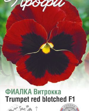 Фиалка Витрокка Trumpet red blotched F1 10 шт (20 упаковок)