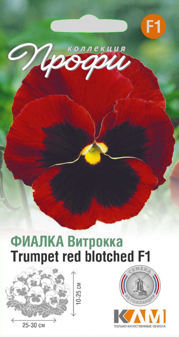 Фиалка Витрокка Trumpet red blotched F1 10 шт (20 упаковок)