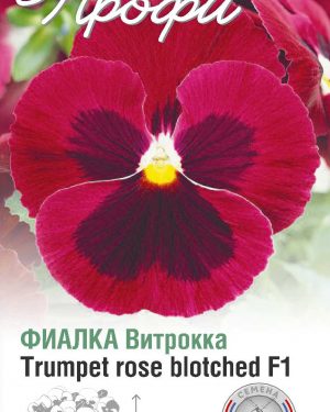 Фиалка Витрокка Trumpet rose blotched F1 10 шт (20 упаковок)
