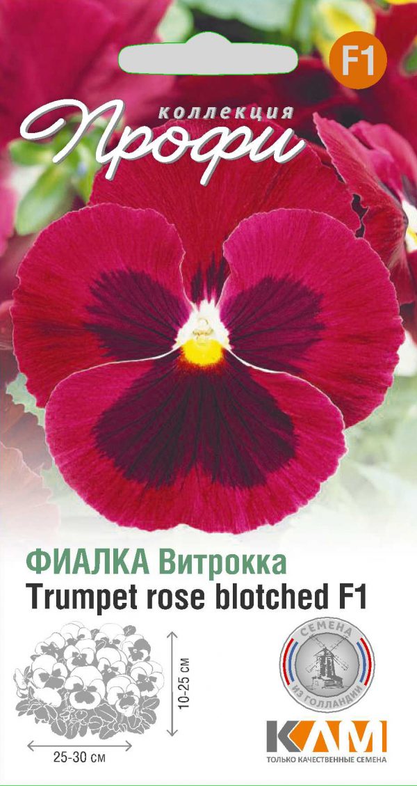 Фиалка Витрокка Trumpet rose blotched F1 10 шт (20 упаковок)