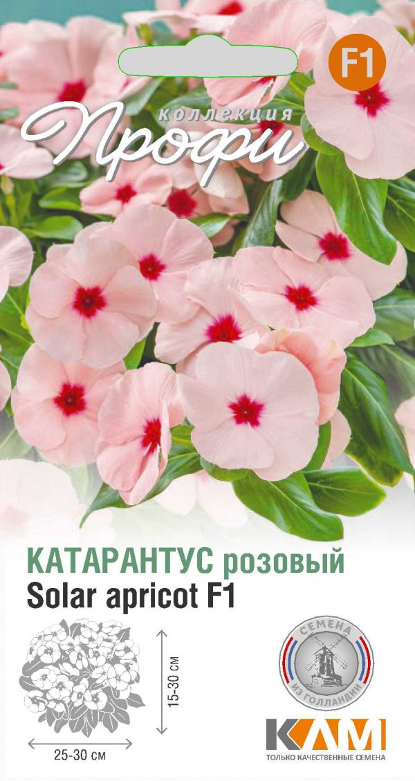 Катарантус розовый Solar apricot F1 10 шт (20 упаковок)
