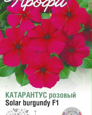 Катарантус розовый Solar burgundy F1 10 шт (20 упаковок)