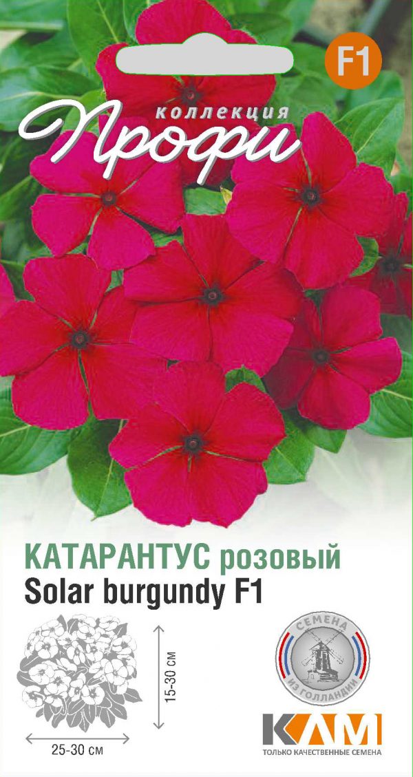Катарантус розовый Solar burgundy F1 10 шт (20 упаковок)