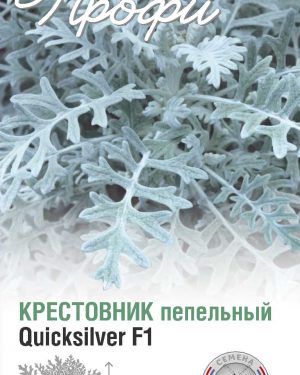 Крестовник пепельный Quicksilver F1 10 шт (20 упаковок)