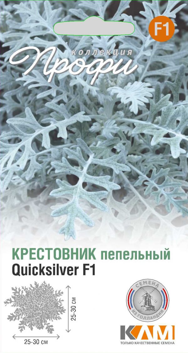 Крестовник пепельный Quicksilver F1 10 шт (20 упаковок)