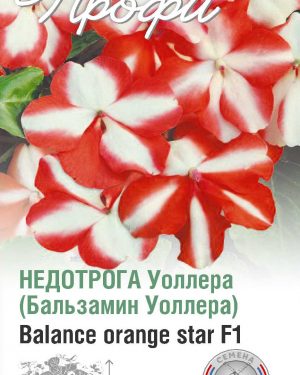 Недотрога Уоллера Balance orange star F1 10 шт (20 упаковок)