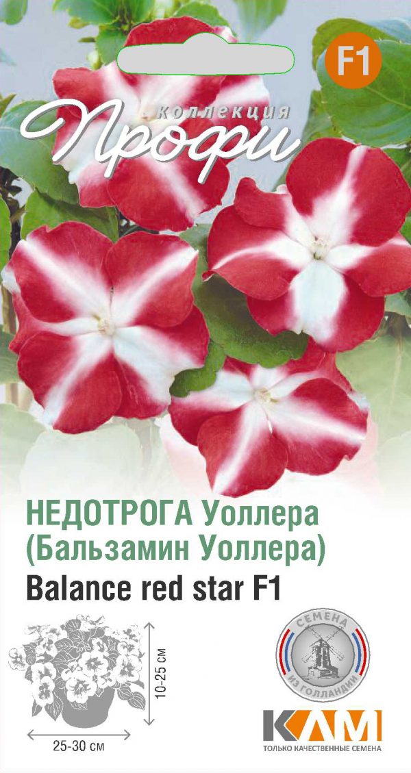 Недотрога Уоллера Balance red star F1 10 шт (20 упаковок)